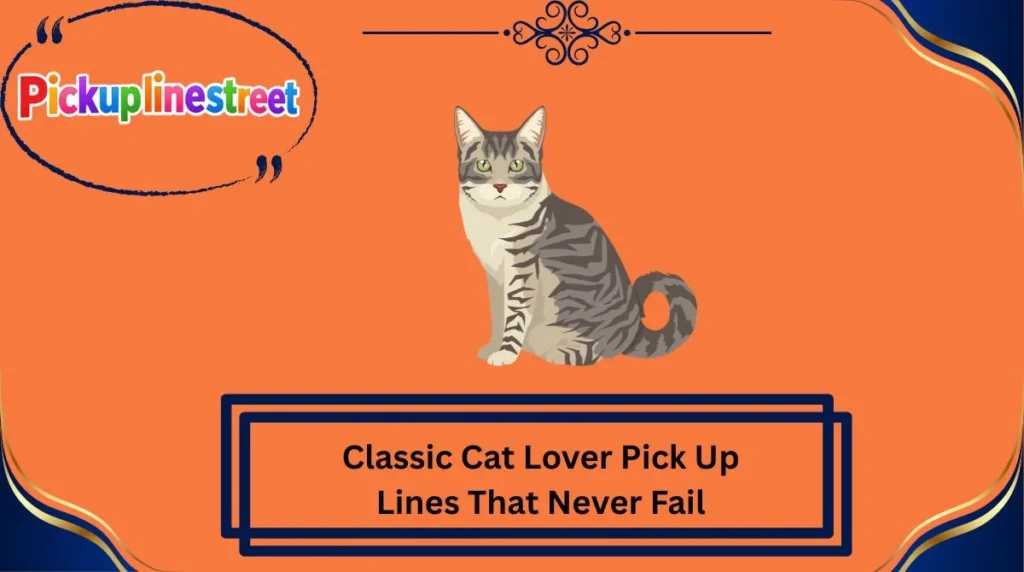 Classic Cat Lover Pick Up Lines That Never Fail