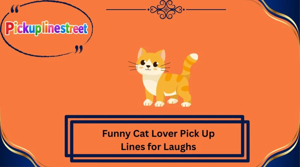 Funny Cat Lover Pick Up Lines for Laughs